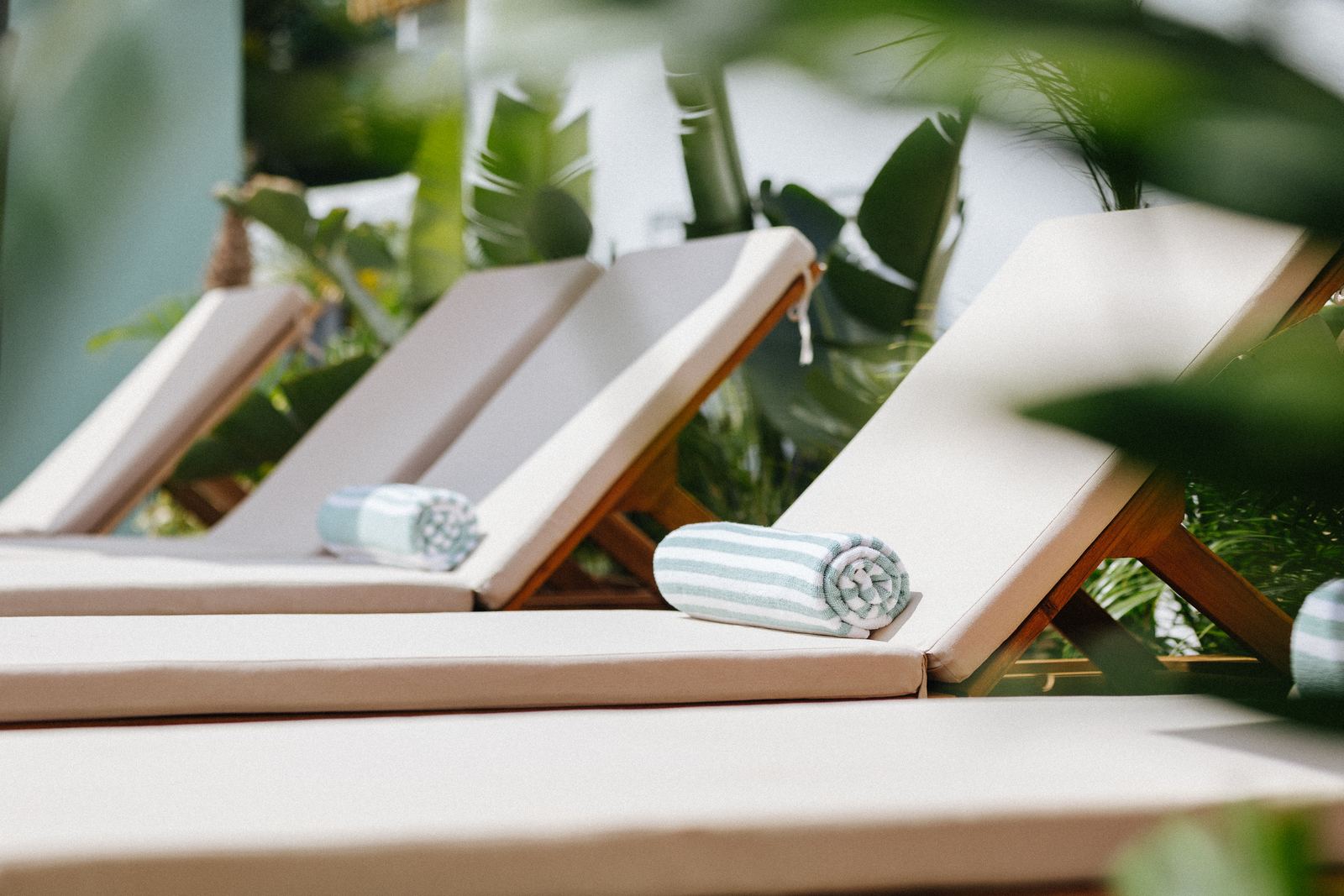 Tropical Poolside Studio, photo 3